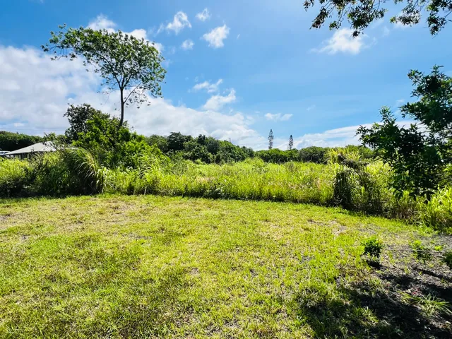 a view of an outdoor space and a yard