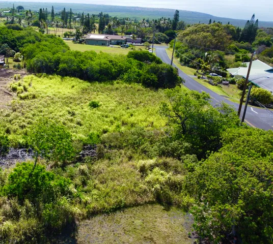 a view of a garden with a building