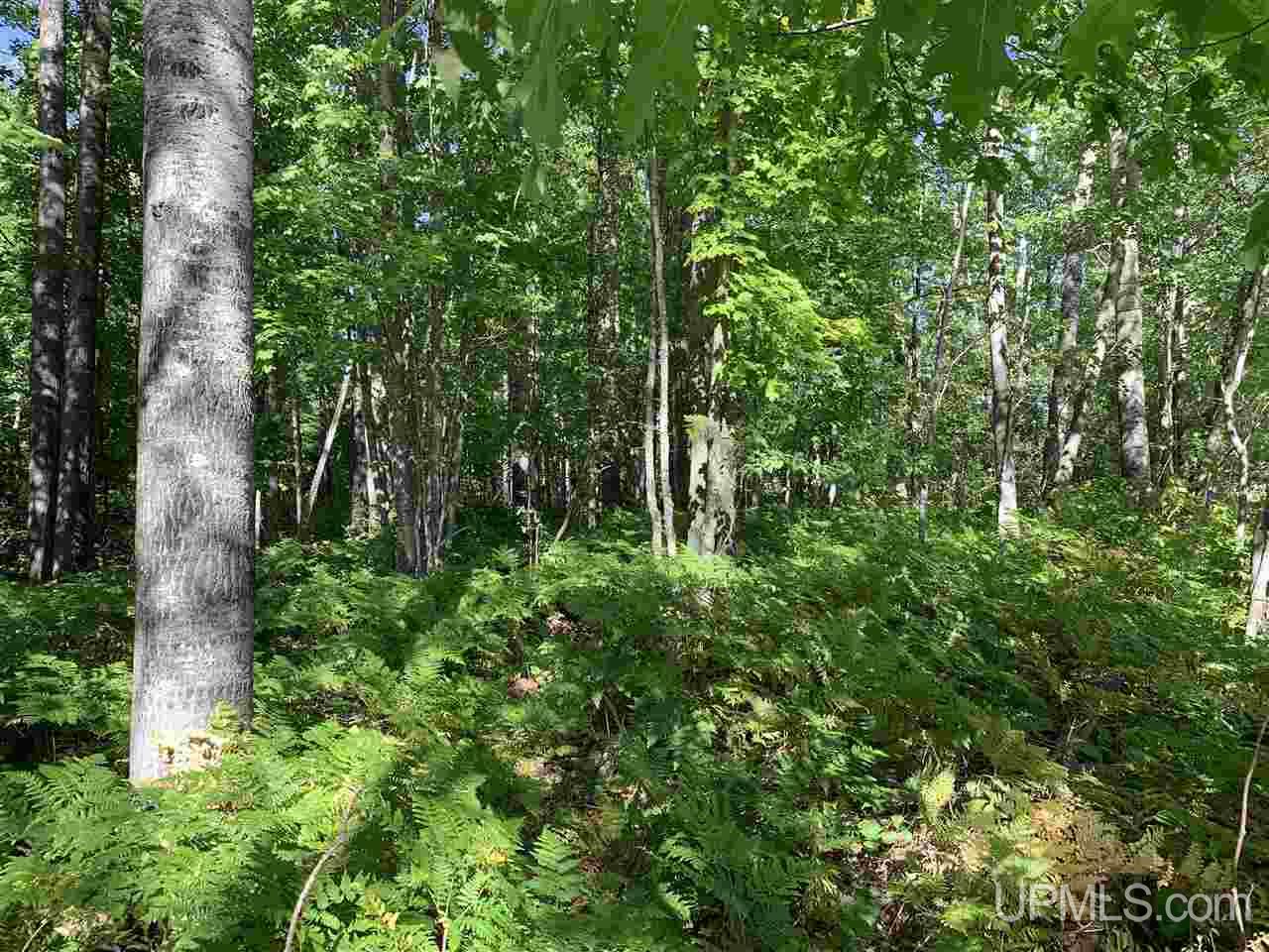 6 Indian Cemetery Road Lanse, MI 49946 - Photo 7 of 16