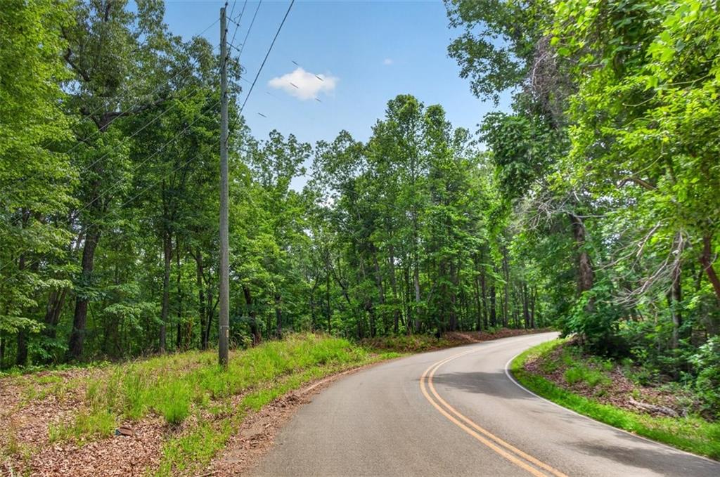 2022 Pleasant Union Road Canton, GA 30114 - Photo 10 of 17