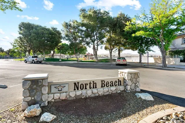 a view of a street with benches and a tree