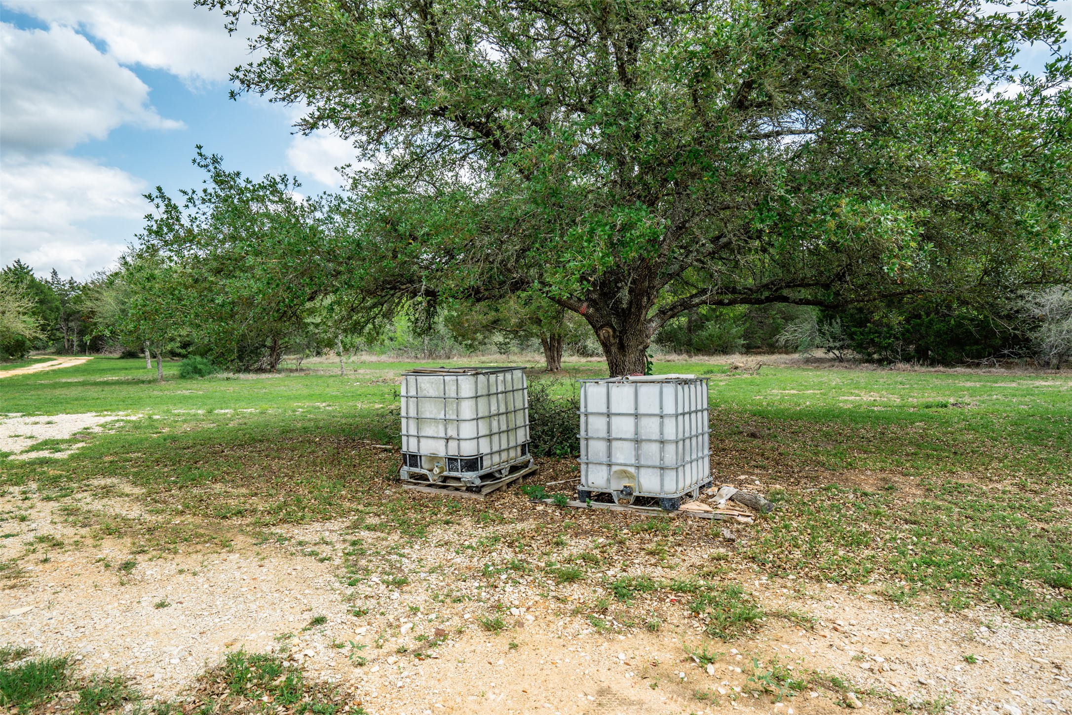 1354 Old Pin Oak Road Paige, TX 78659 - Photo 32 of 37 a view of a tiny house with a yard