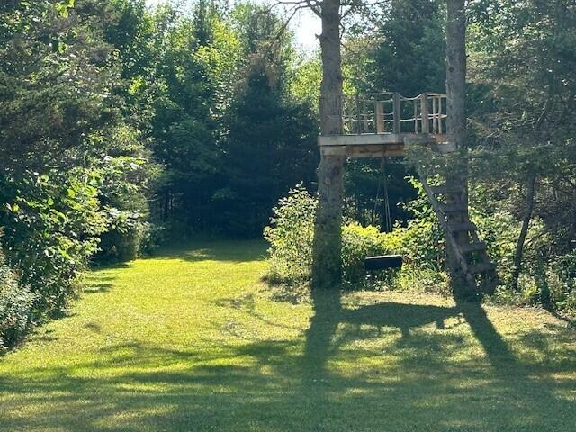 24147 South Fairview Road Pickford, MI 49774 - Photo 37 of 37 Gallery Image 37