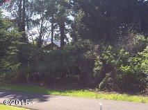 6600 Northeast 40th Neotsu, OR 97364 - Photo 1 of 2 S. Lot photo