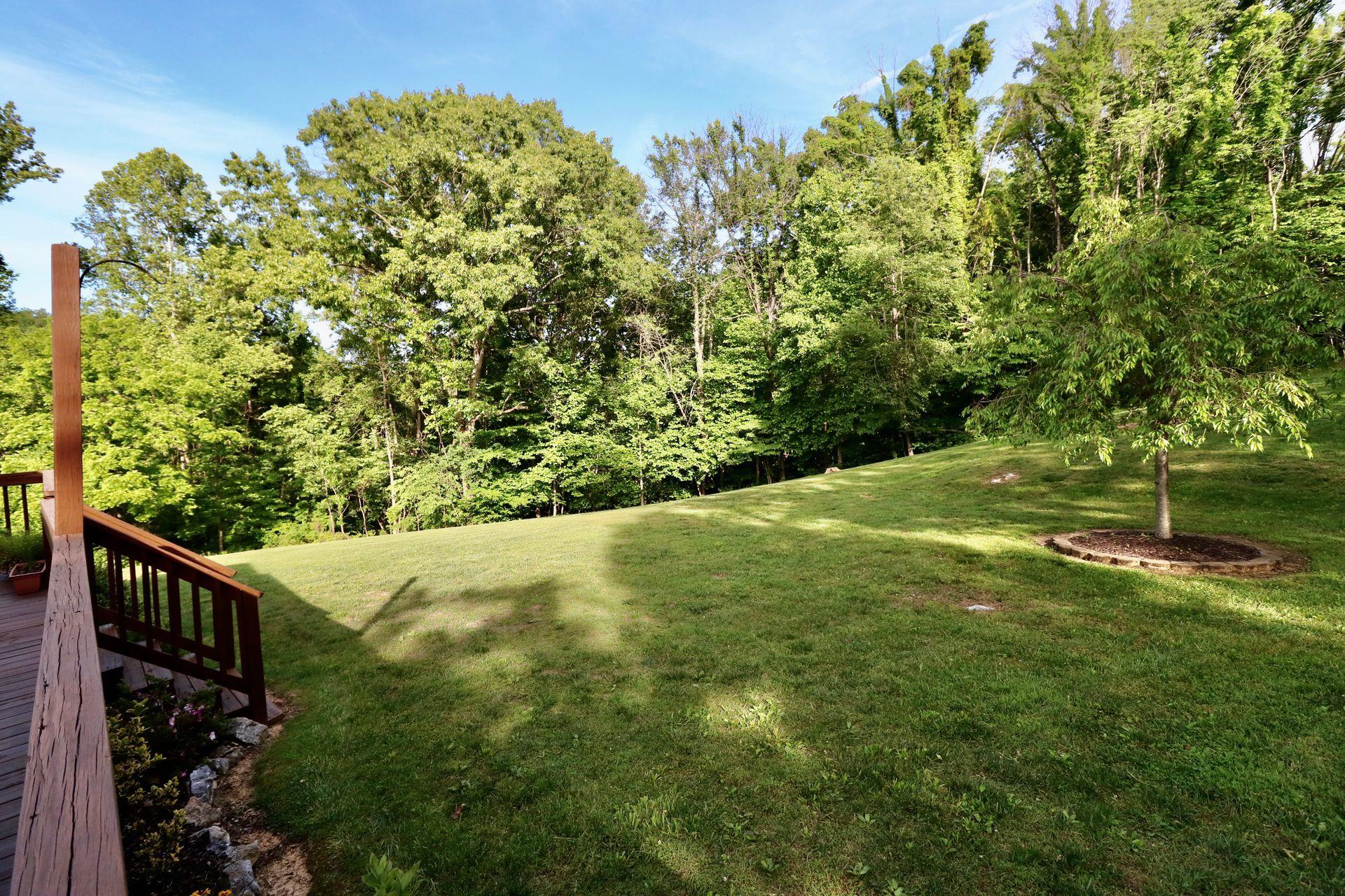 572 Arch Mill Road Buchanan, VA 24066 - Photo 34 of 48 Specious Yard
