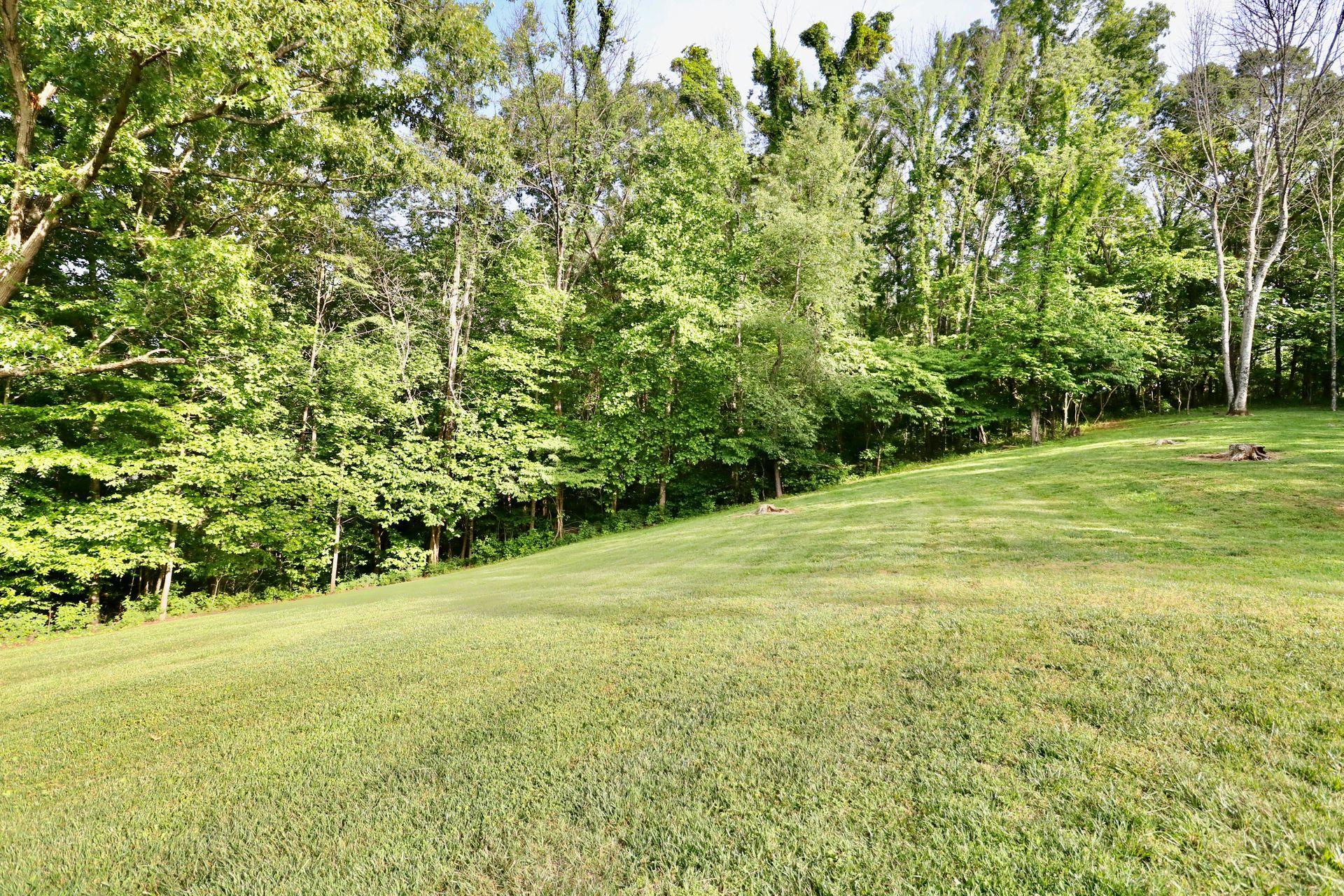 572 Arch Mill Road Buchanan, VA 24066 - Photo 41 of 48 Yard
