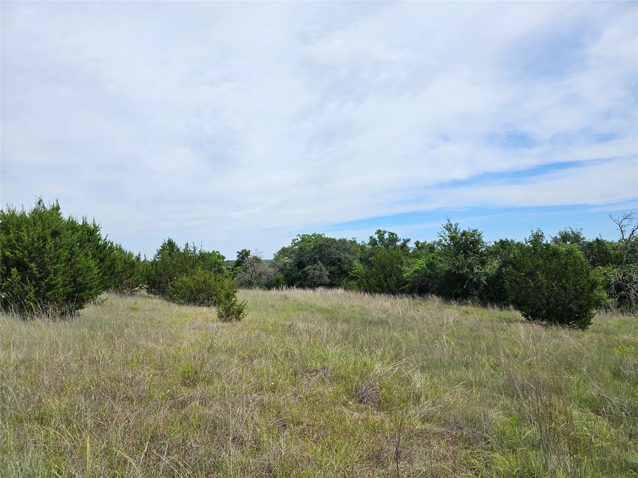 580 East 0123 Kempner, TX 76539 - Photo 10 of 15 A tranquil, verdant landscape with native grasses and scattered trees, offering a peaceful natural setting.