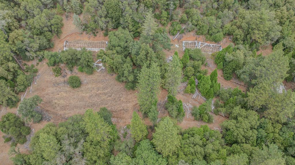 18101 Old River Road Fiddletown, CA 95629 - Photo 23 of 53 Gallery Image 23