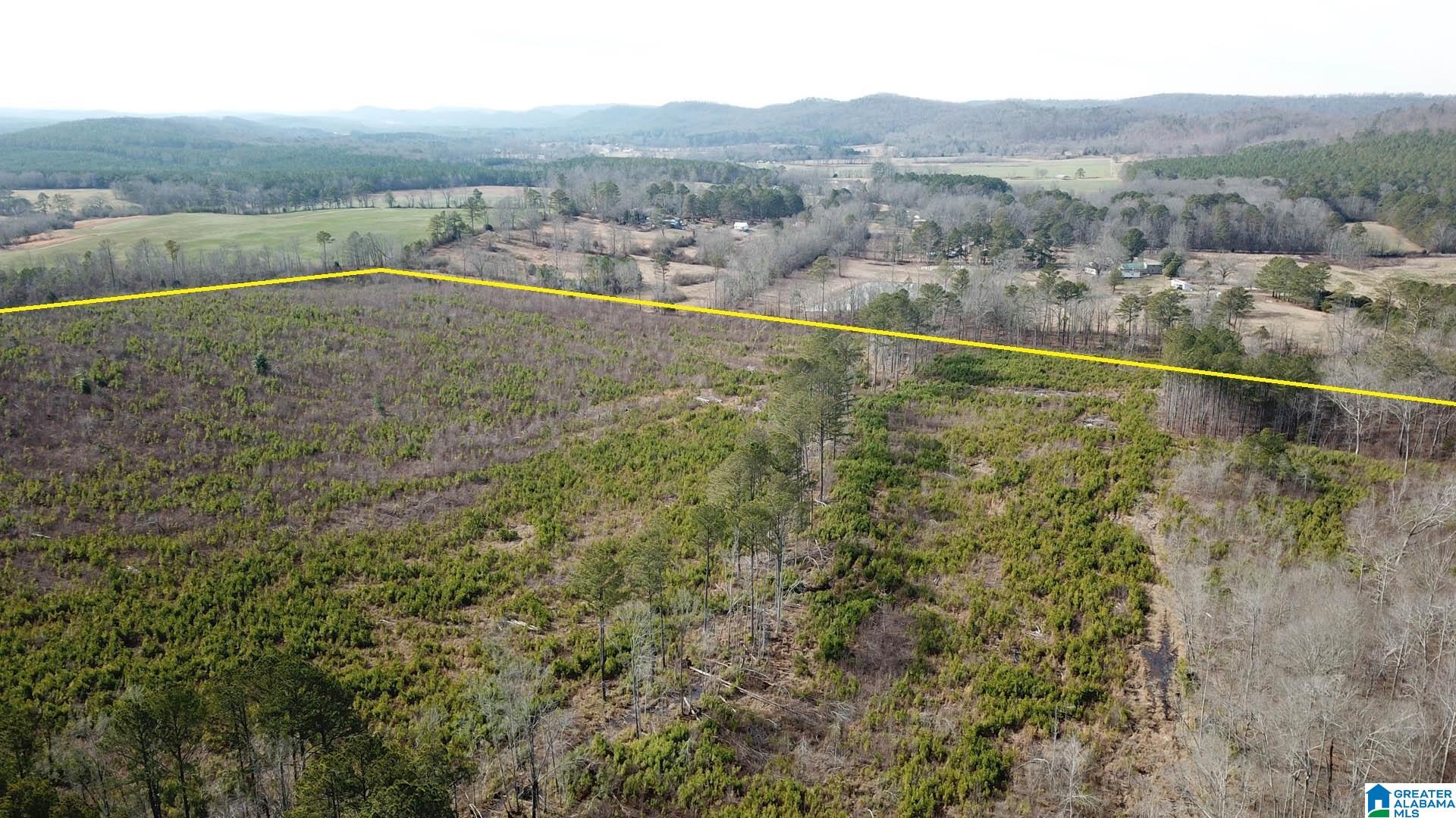 0 Altoona Cutoff Road, Unit 47 5 Oneonta, AL 35121 - Photo 10 of 36