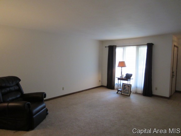 3015 Cameron Drive Springfield, IL 62704 - Photo 3 of 9 Gallery Image 3