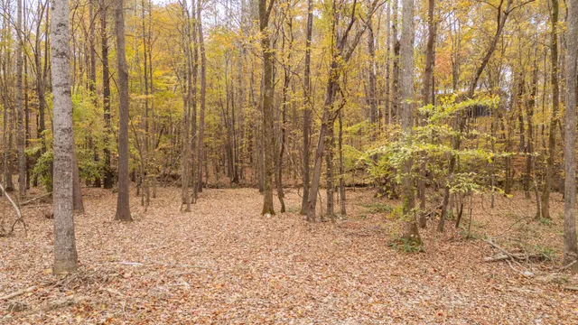 a view of house with trees