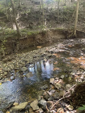 a picture of a field