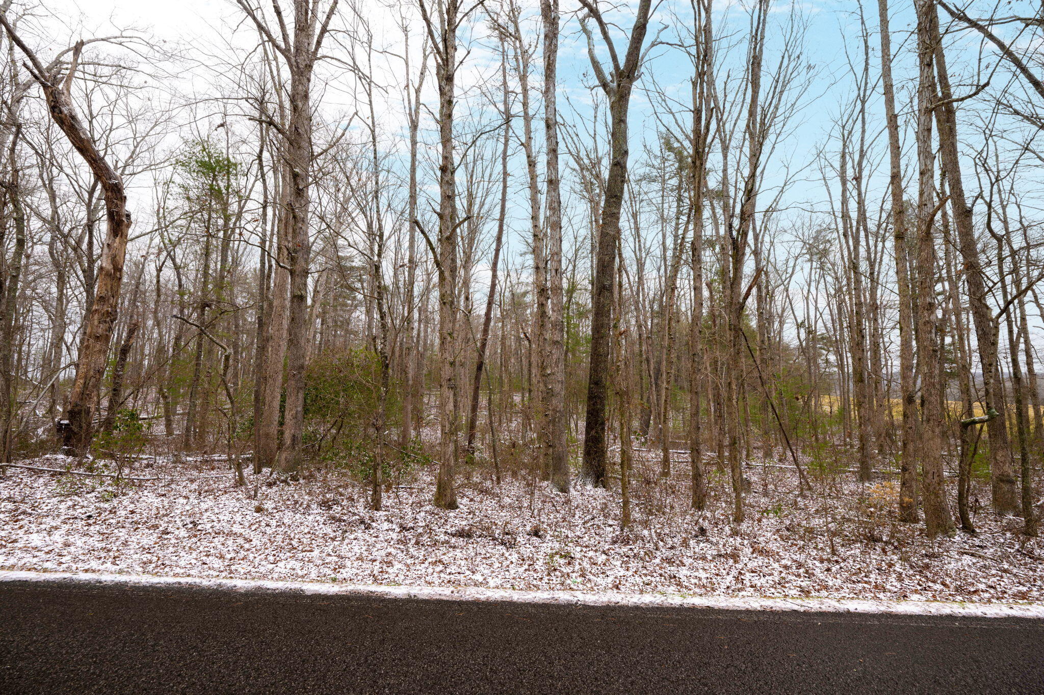 0 Hendon Road, Unit TRACT 5 Graysville, TN 37338 - Photo 5 of 5 28-web-or-mls-DSC_1152-103