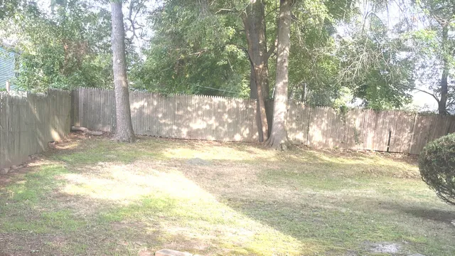 a view of a yard with a tree