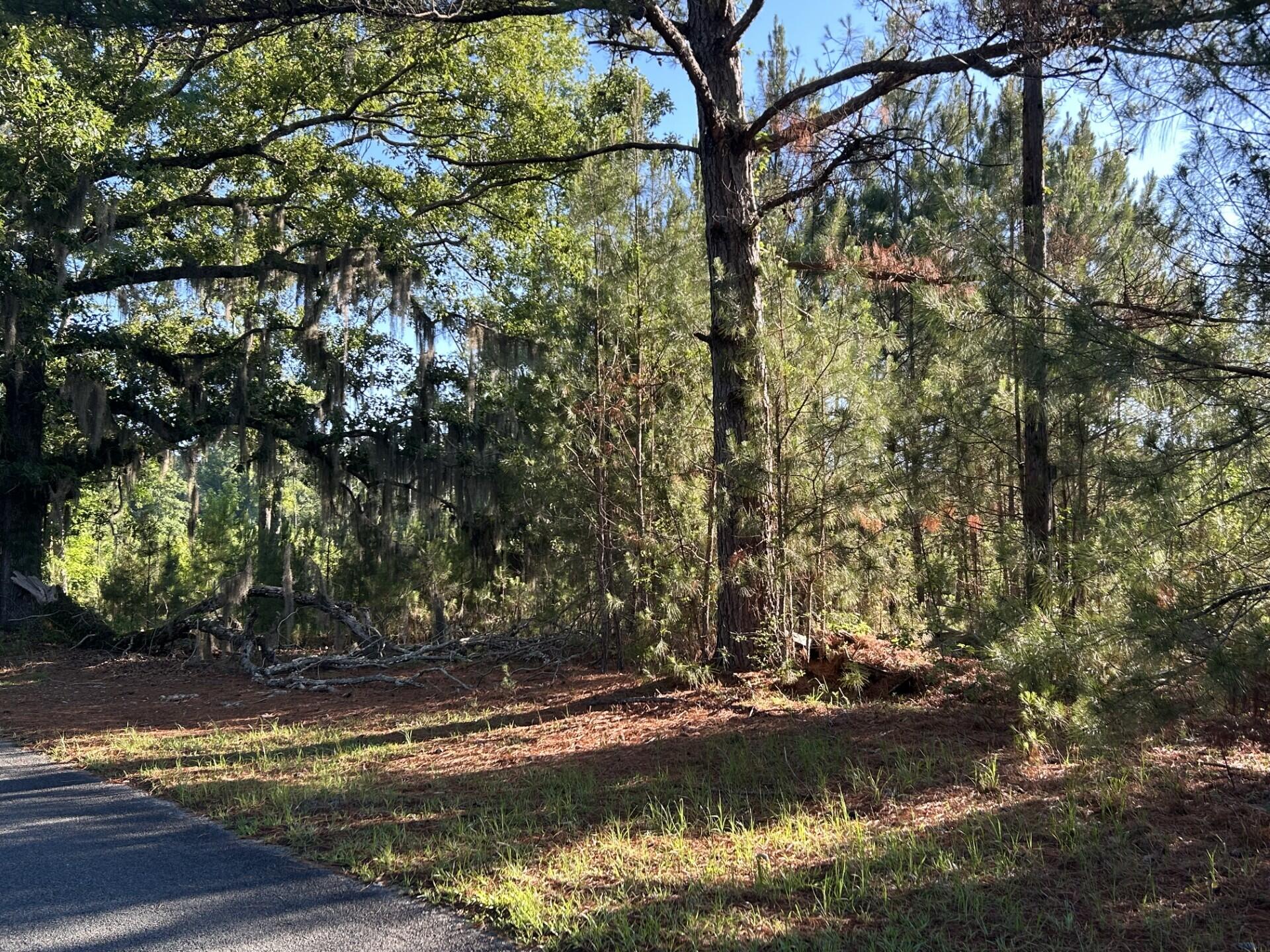 2641 State Rd S-15-84 Islandton, SC 29929 - Photo 13 of 20