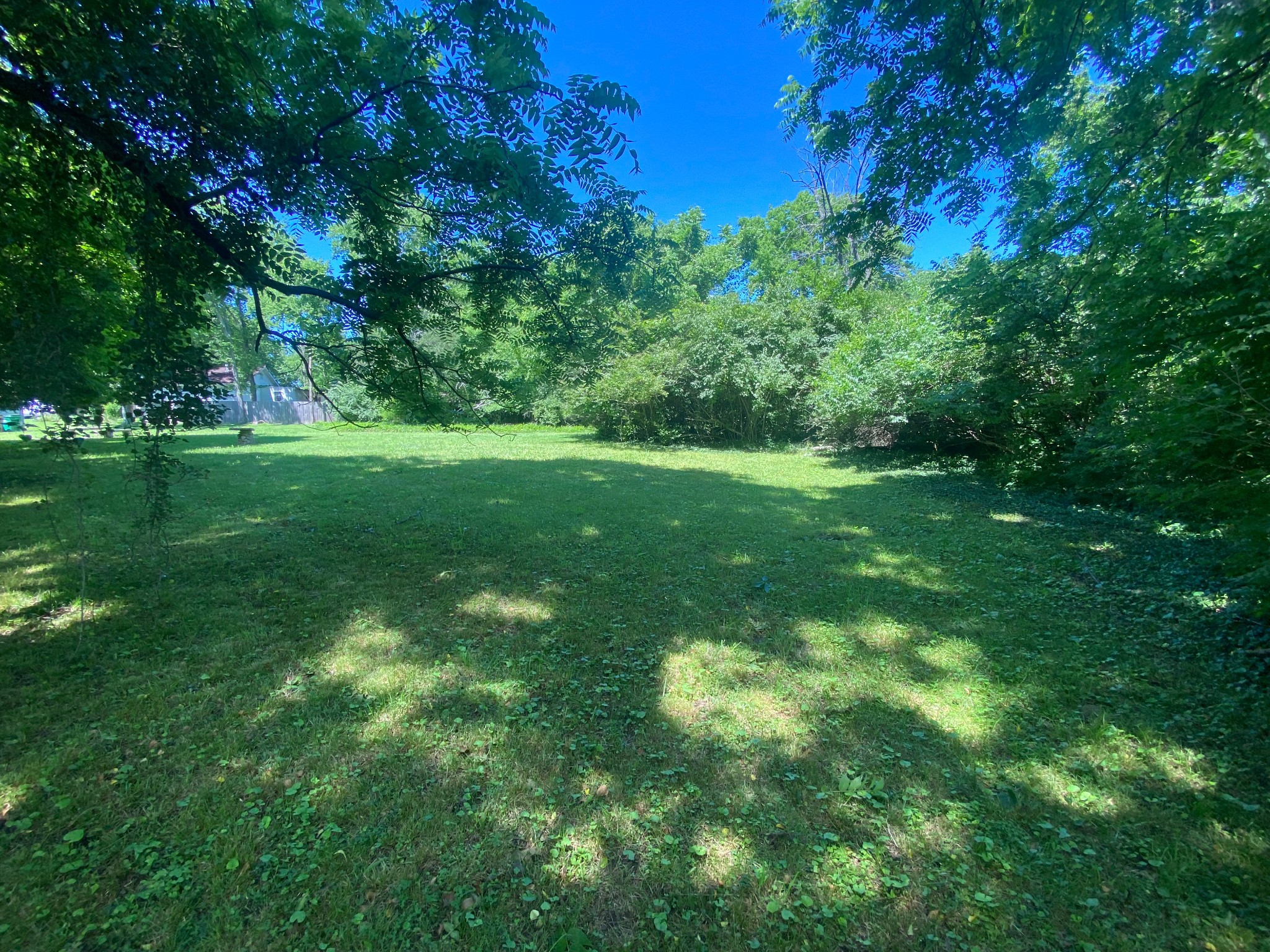 0 Grapevine Avenue Madison, TN 37115 - Photo 5 of 10 a view of yard with green space