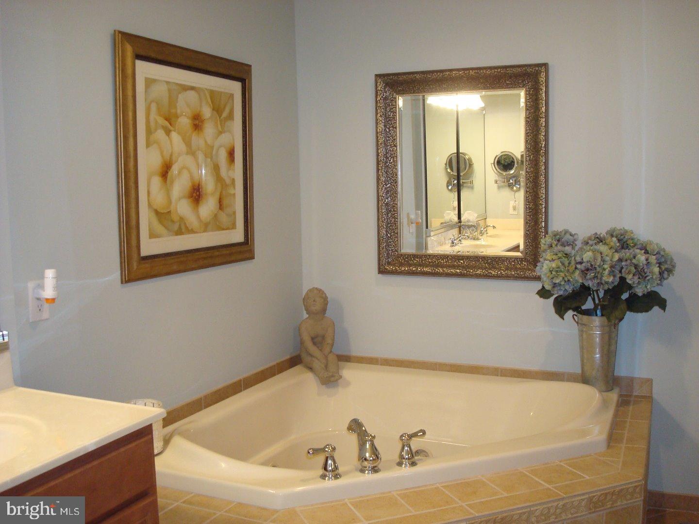 215 Sydney Road Holland, PA 18966 - Photo 12 of 25 Master Bathroom