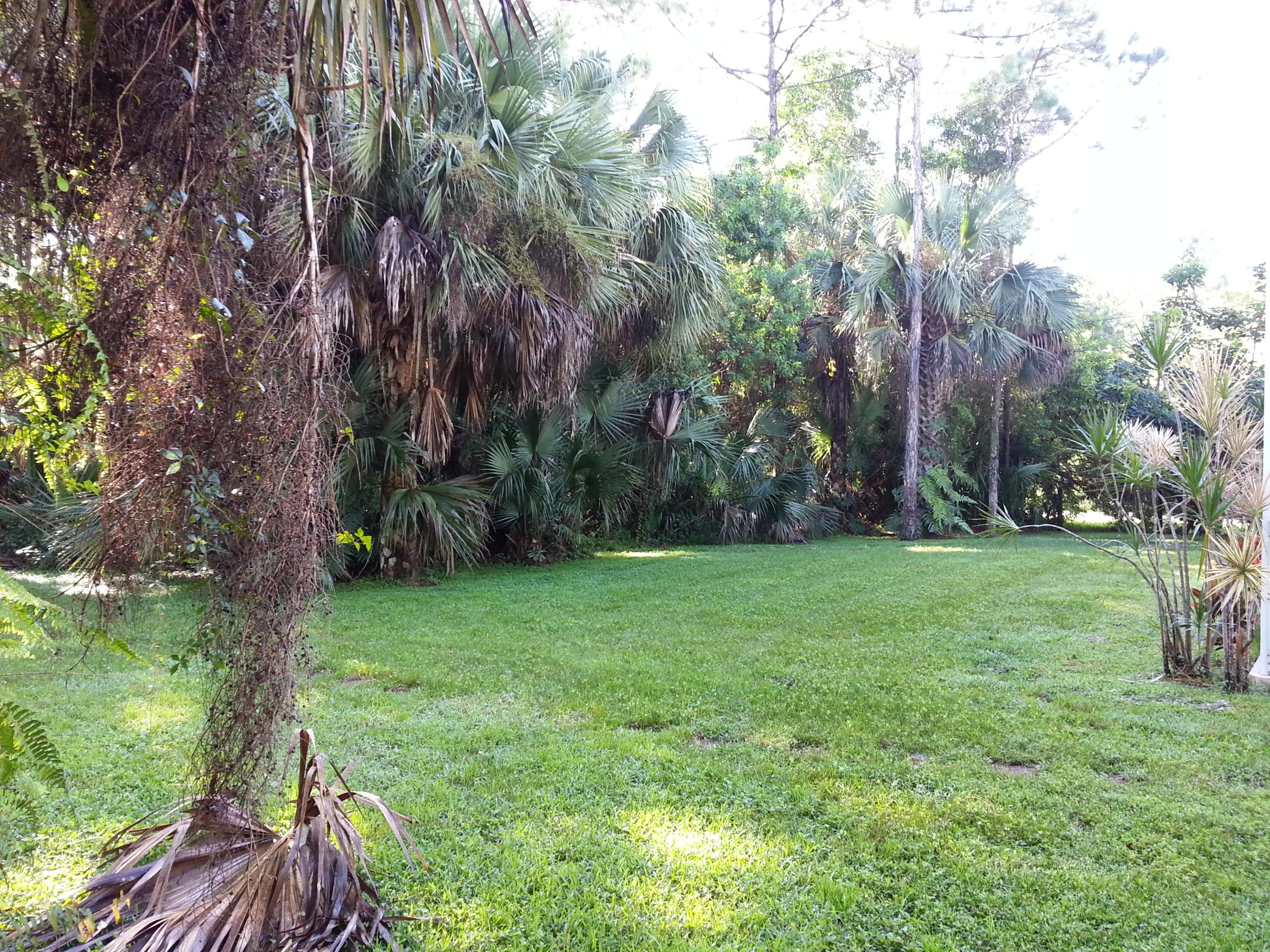 16210 Jupiter Farms Road Jupiter, FL 33478 - Photo 23 of 27 Back Yard