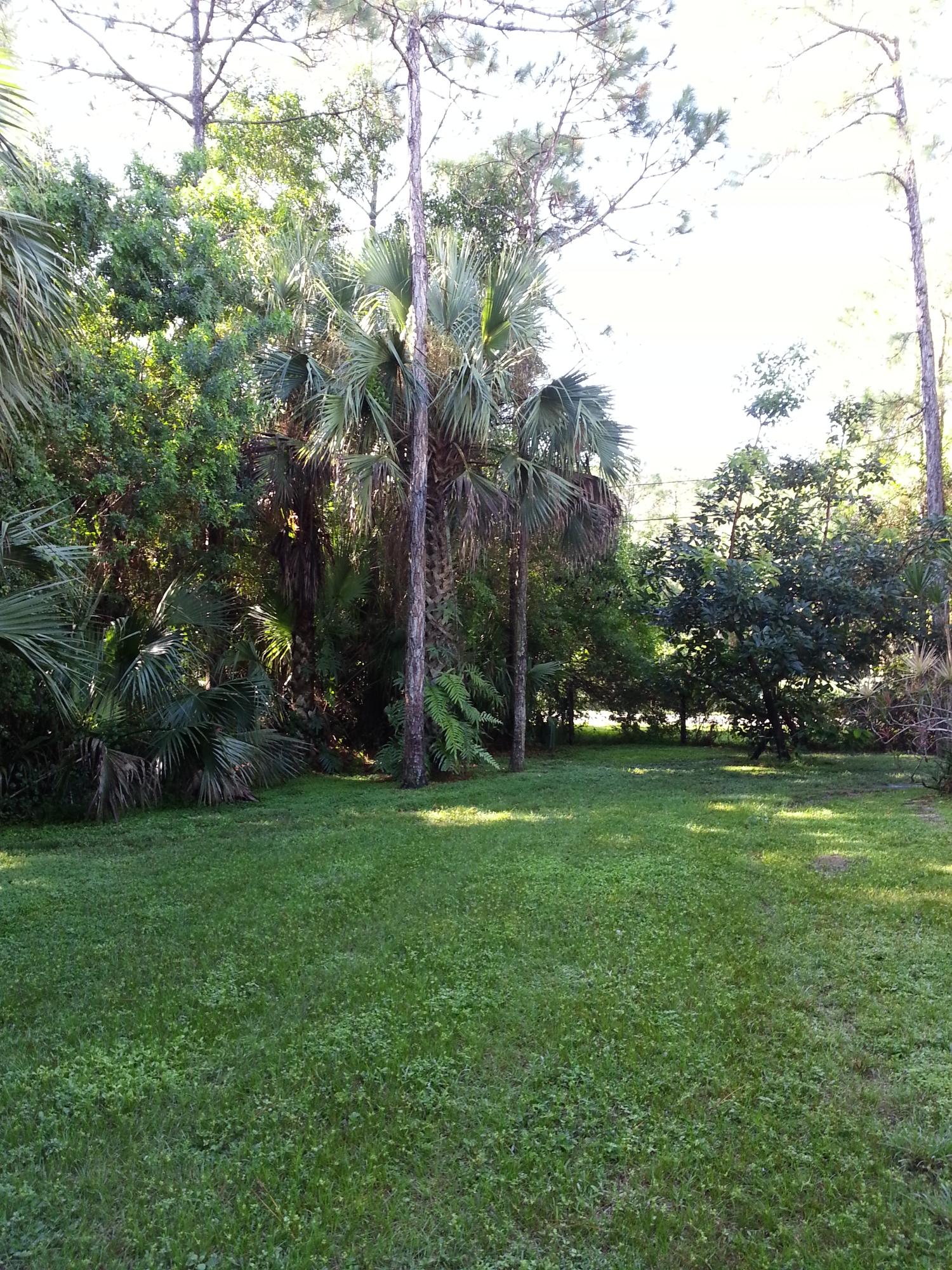 16210 Jupiter Farms Road Jupiter, FL 33478 - Photo 24 of 27 Back Yard