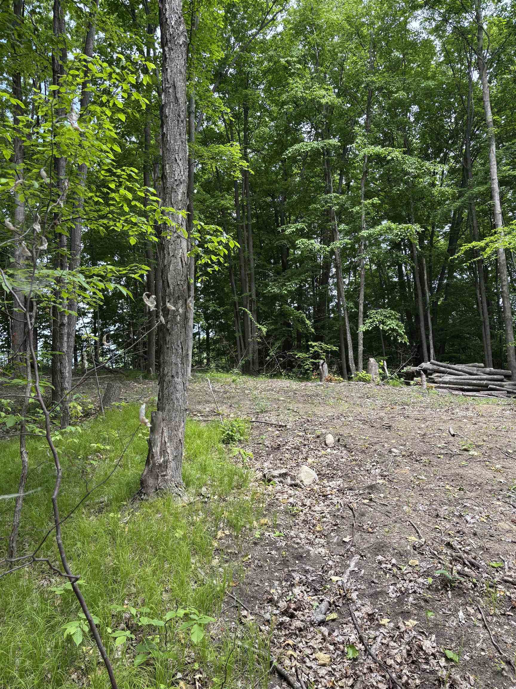 Parcel A North Parcel A N 45th Road Manton, MI 49663 - Photo 4 of 12