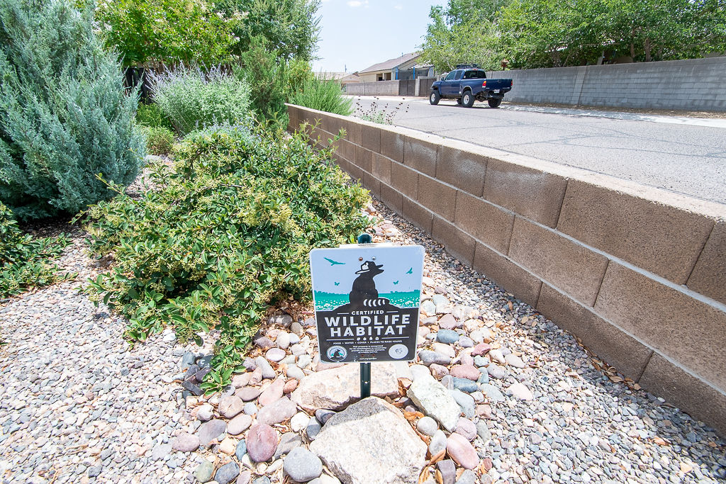 3690 North Kenneth Road Kingman, AZ 86409 - Photo 35 of 44 Beautiful Yard