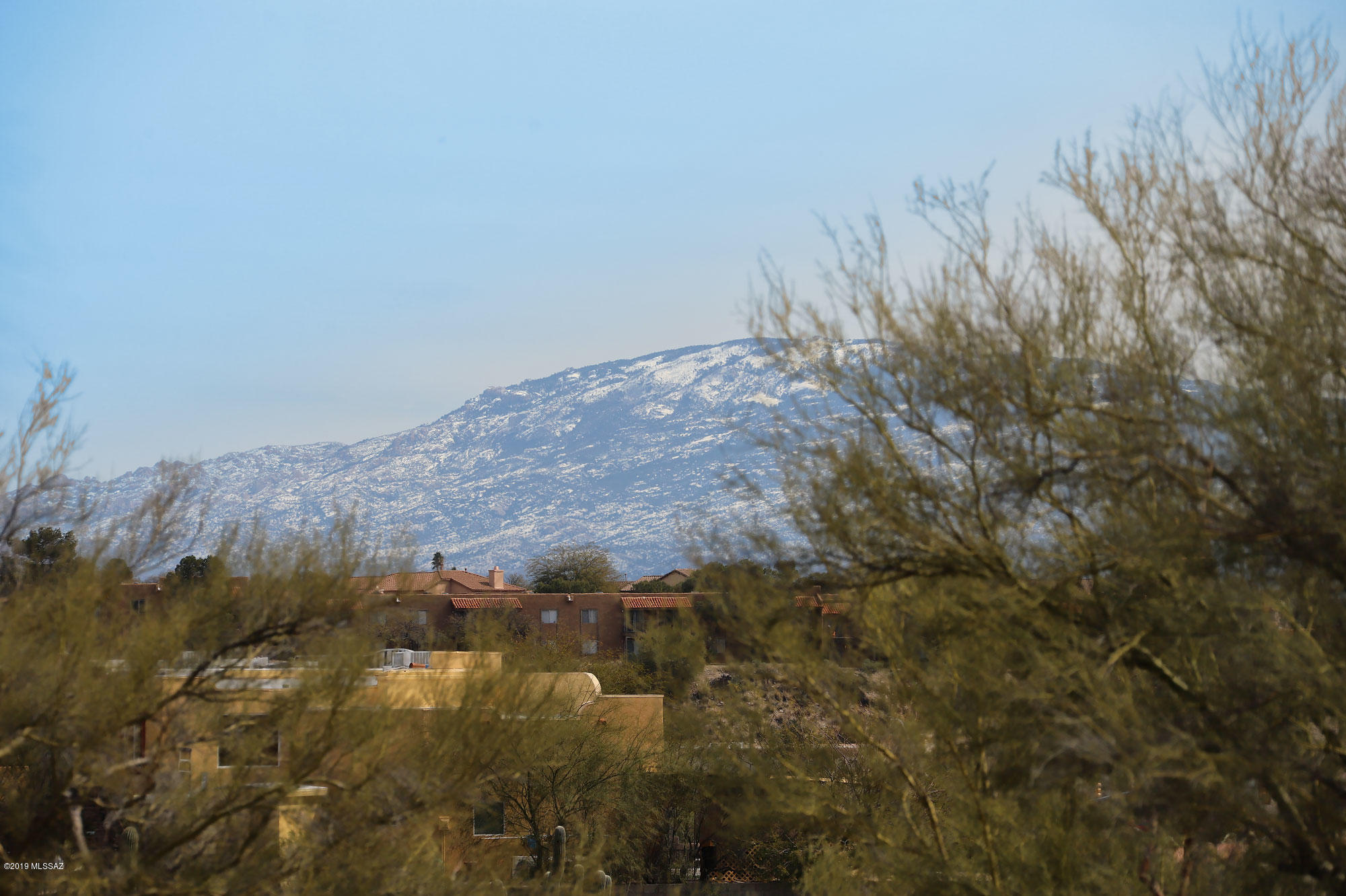 333 East River Road Tucson, AZ 85704 - Photo 20 of 27
