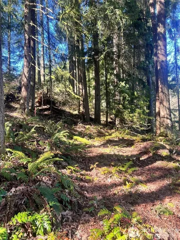 a view of a tree in front of a house