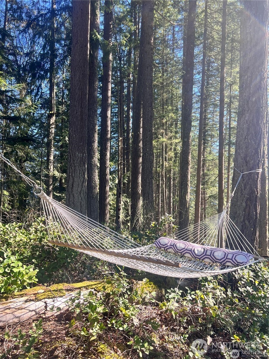 1 Southern Court Bellingham, WA 98229 - Photo 4 of 15 a view of a back yard of the house