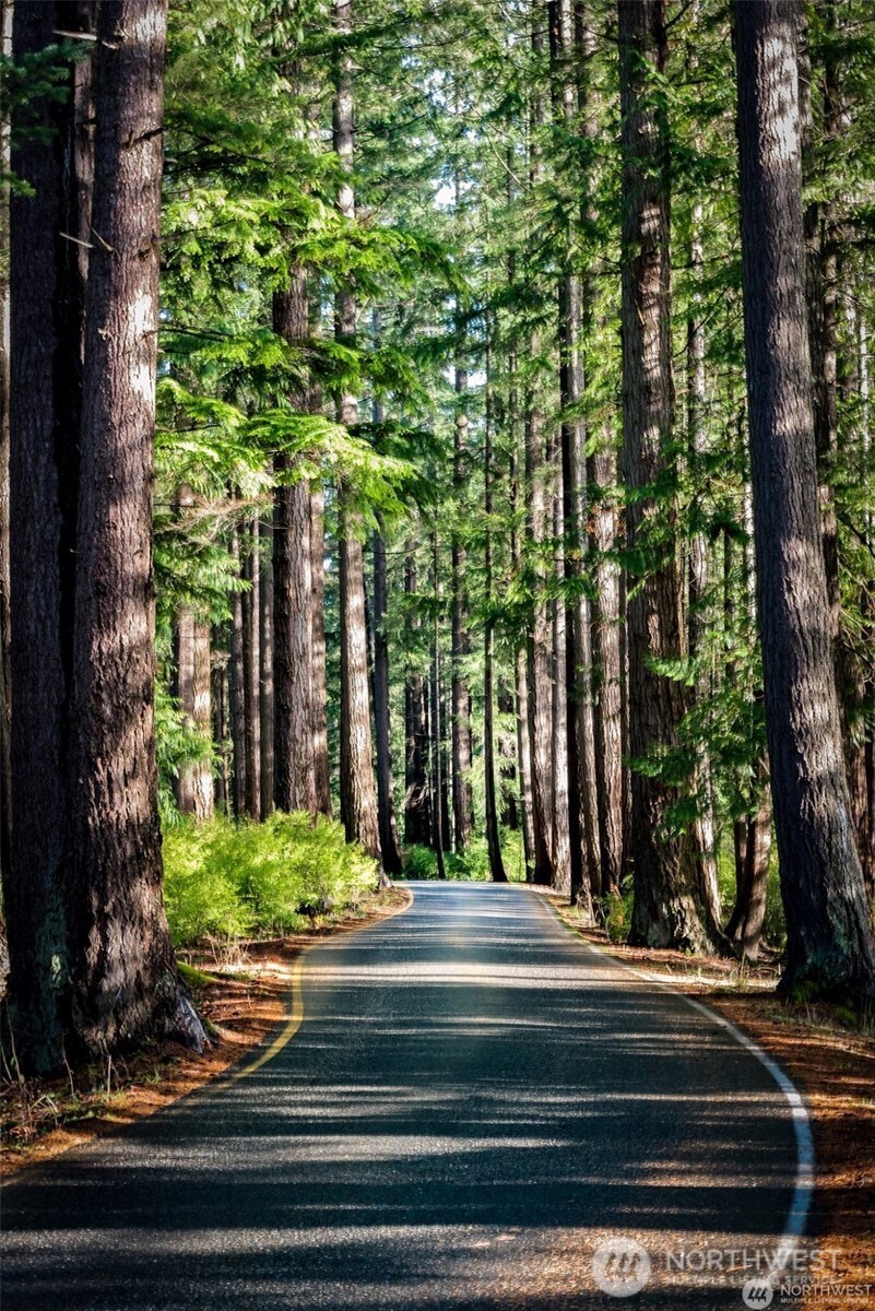 1 Southern Court Bellingham, WA 98229 - Photo 6 of 15 a front view of a house with a yard