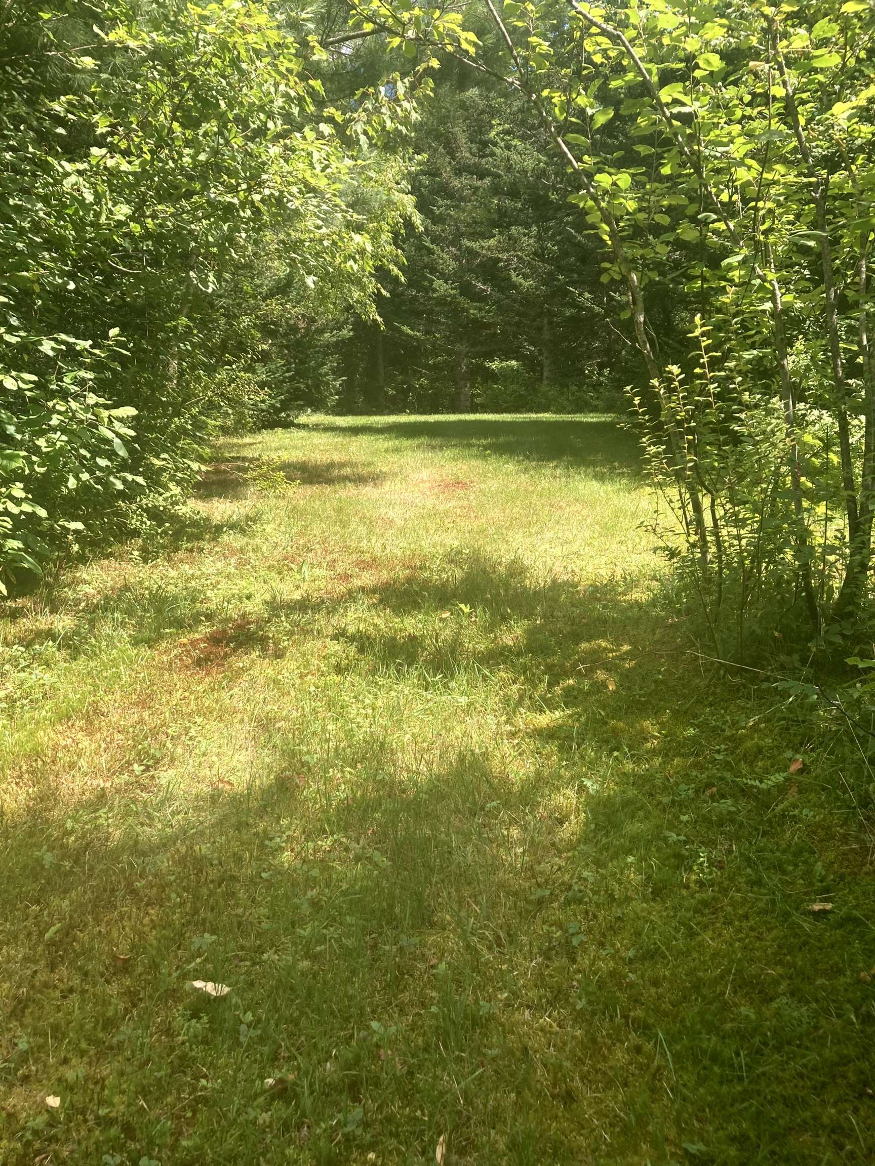 - Creek Road Craftsbury Common, VT 05827 - Photo 12 of 17