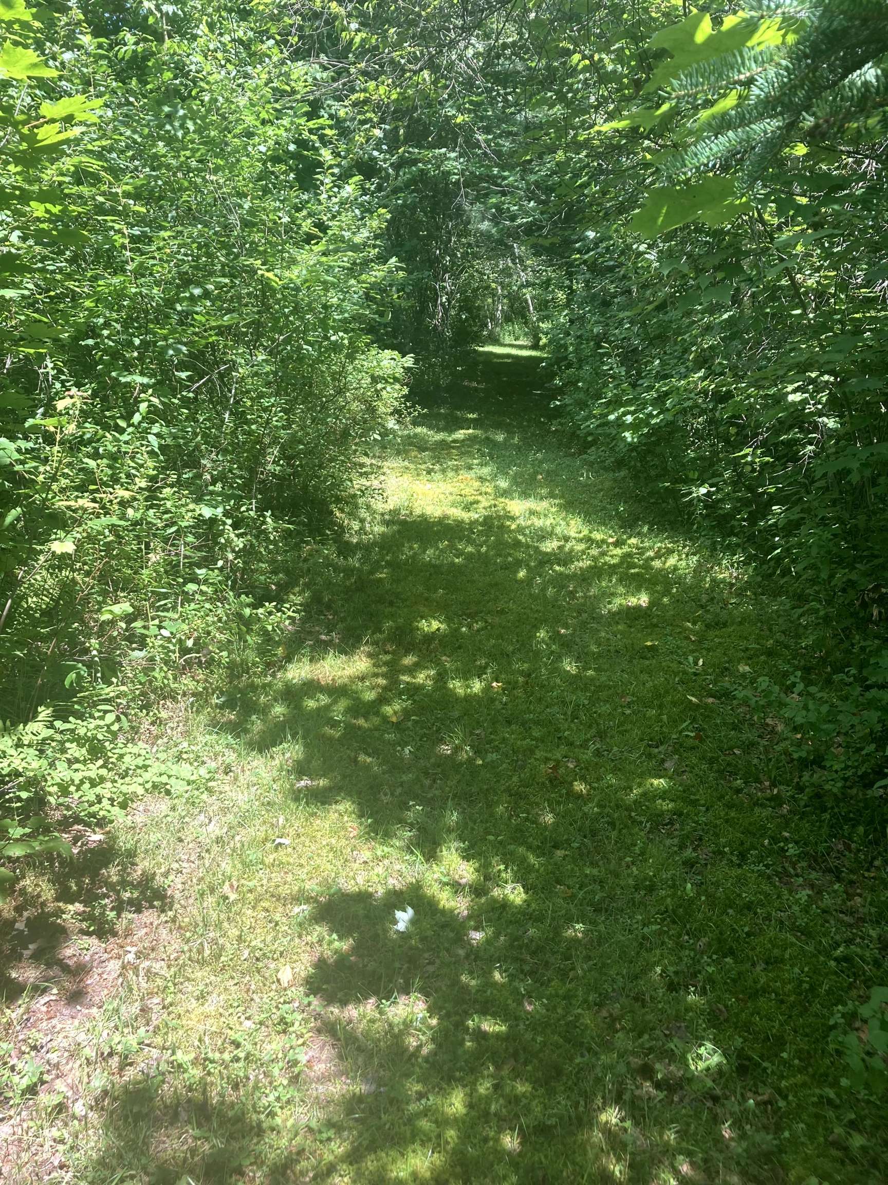 - Creek Road Craftsbury Common, VT 05827 - Photo 16 of 17