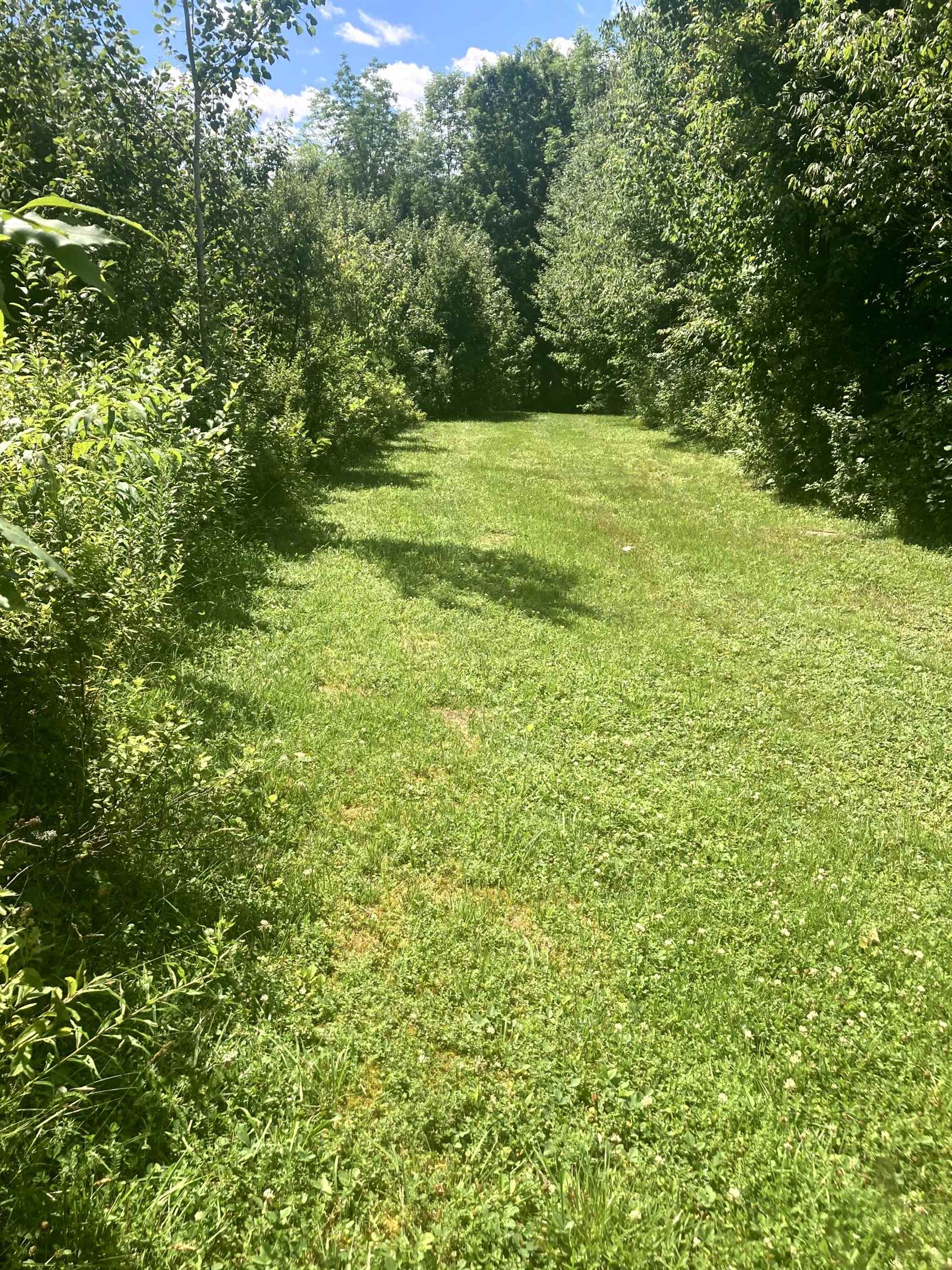 - Creek Road Craftsbury Common, VT 05827 - Photo 17 of 17