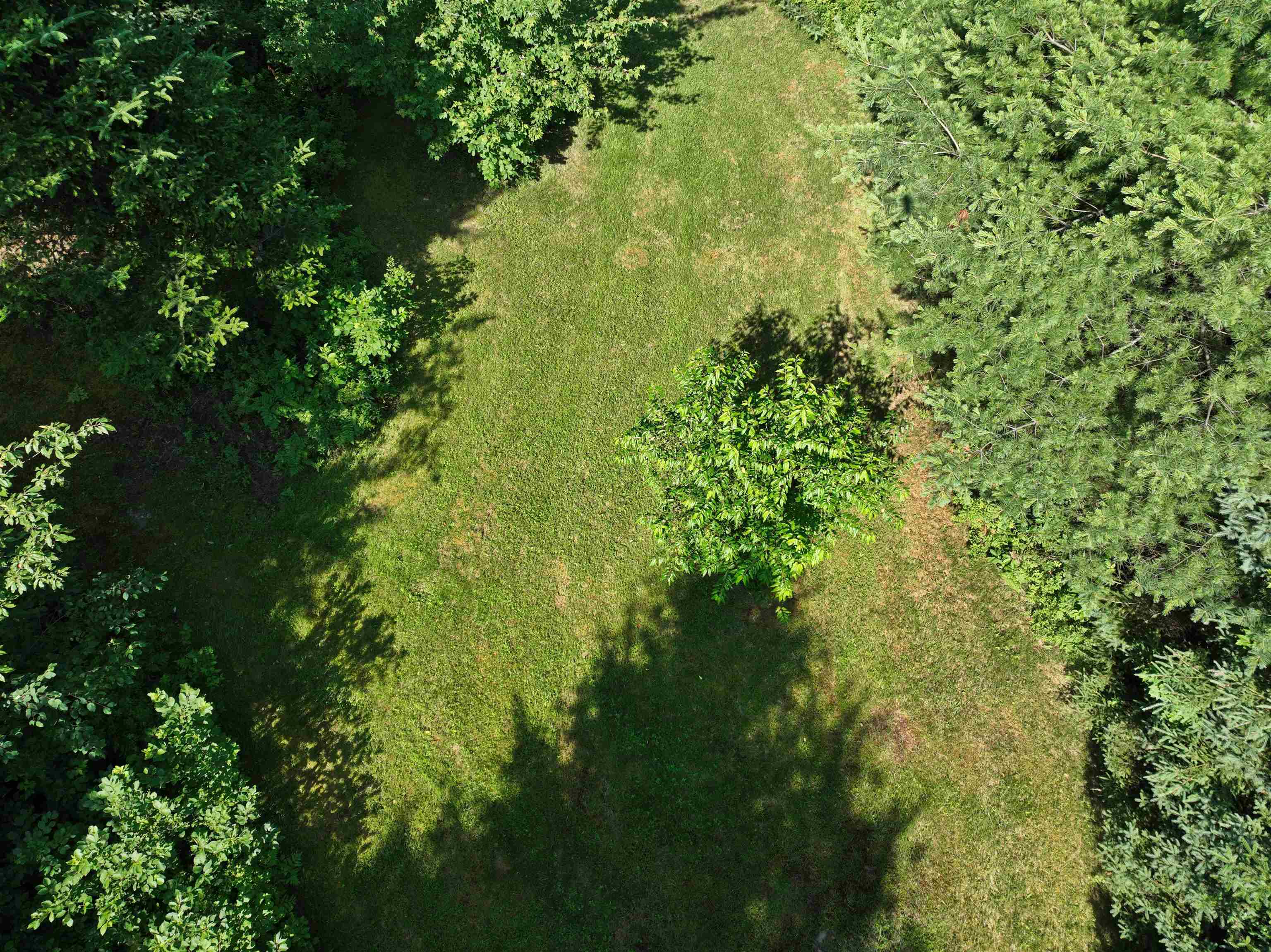 - Creek Road Craftsbury Common, VT 05827 - Photo 6 of 17