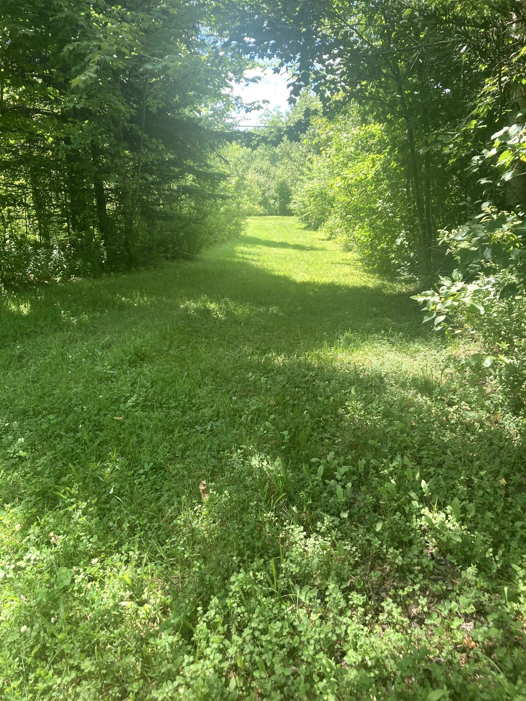 - Creek Road Craftsbury Common, VT 05827 - Photo 8 of 17