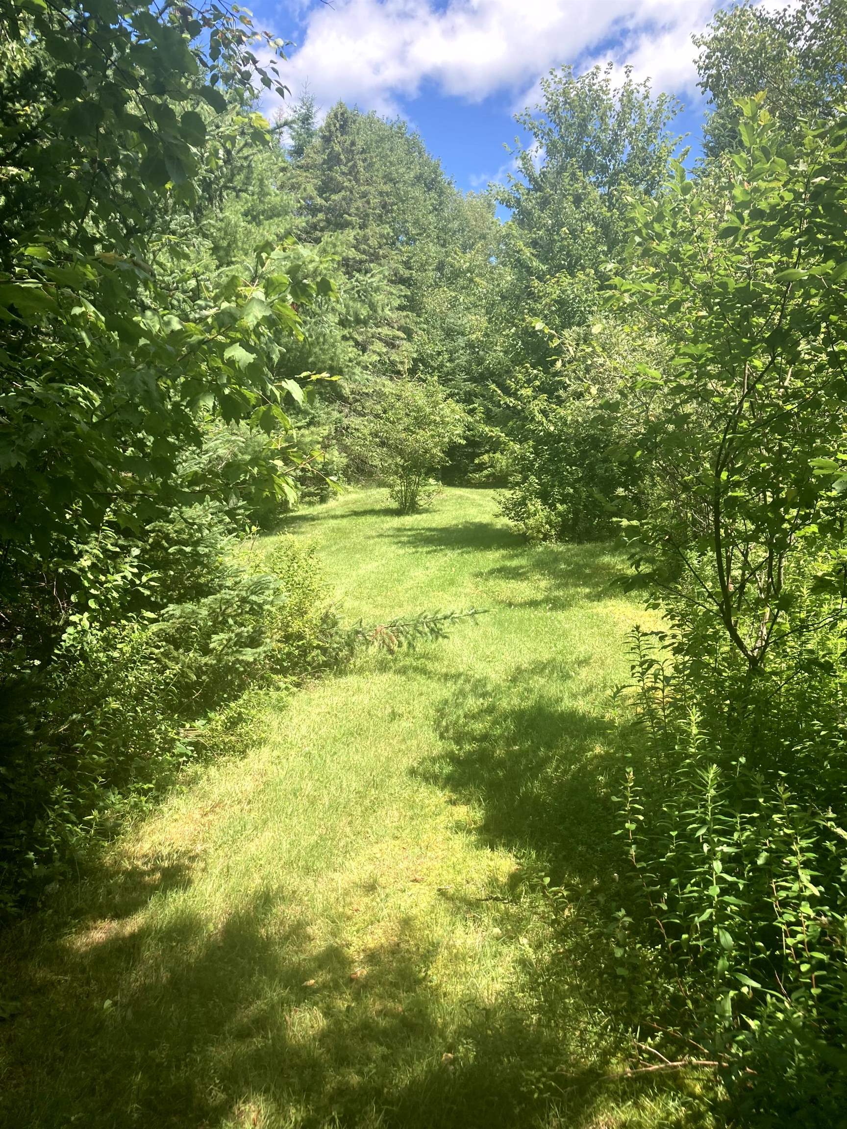 - Creek Road Craftsbury Common, VT 05827 - Photo 9 of 17