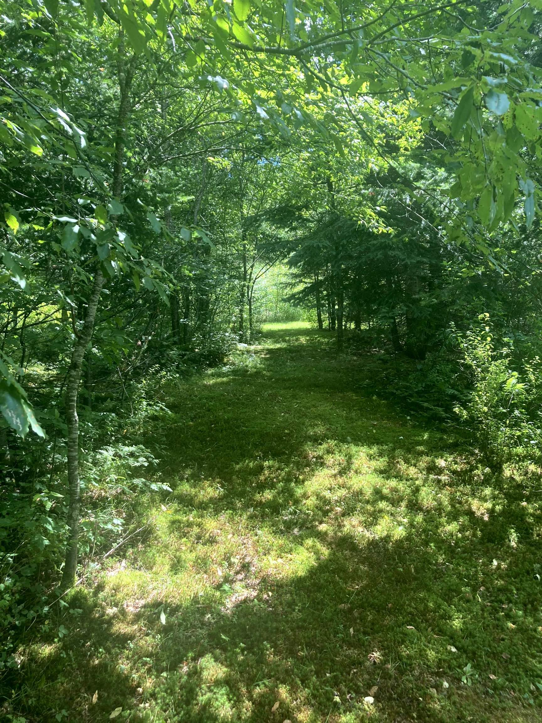 - Creek Road Craftsbury Common, VT 05827 - Photo 10 of 17