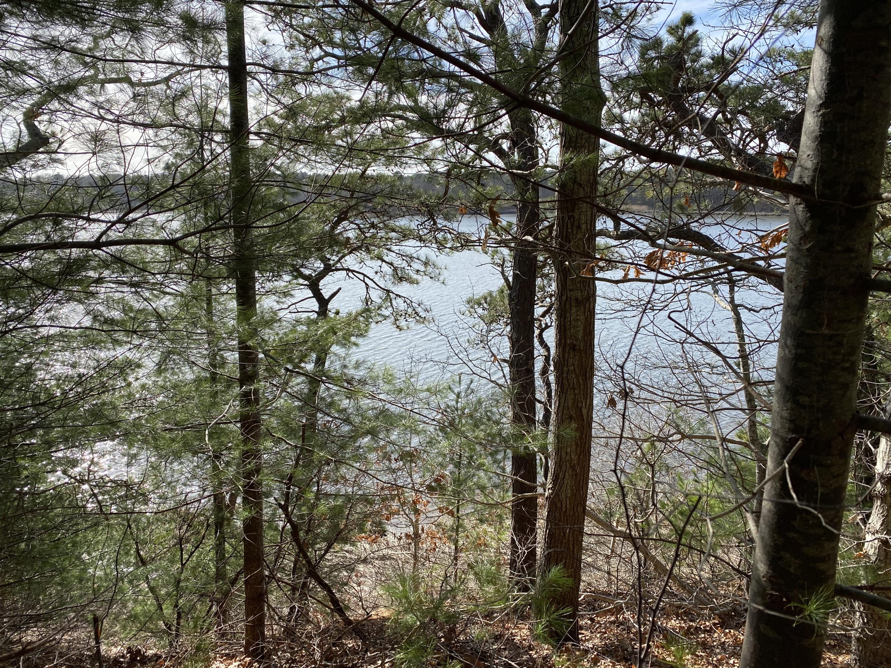 116 Bay Road Cotuit, MA 02635 - Photo 1 of 25 a view of tree