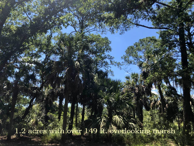 1-cb Cotton Bay Road Edisto Island, SC 29438 - Photo 1 of 19 1