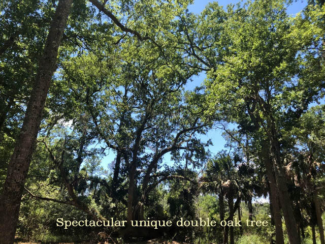1-cb Cotton Bay Road Edisto Island, SC 29438 - Photo 2 of 19 2