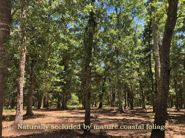 1-cb Cotton Bay Road Edisto Island, SC 29438 - Photo 4 of 19 4