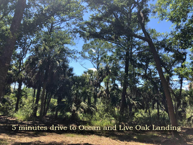 1-cb Cotton Bay Road Edisto Island, SC 29438 - Photo 5 of 19 5