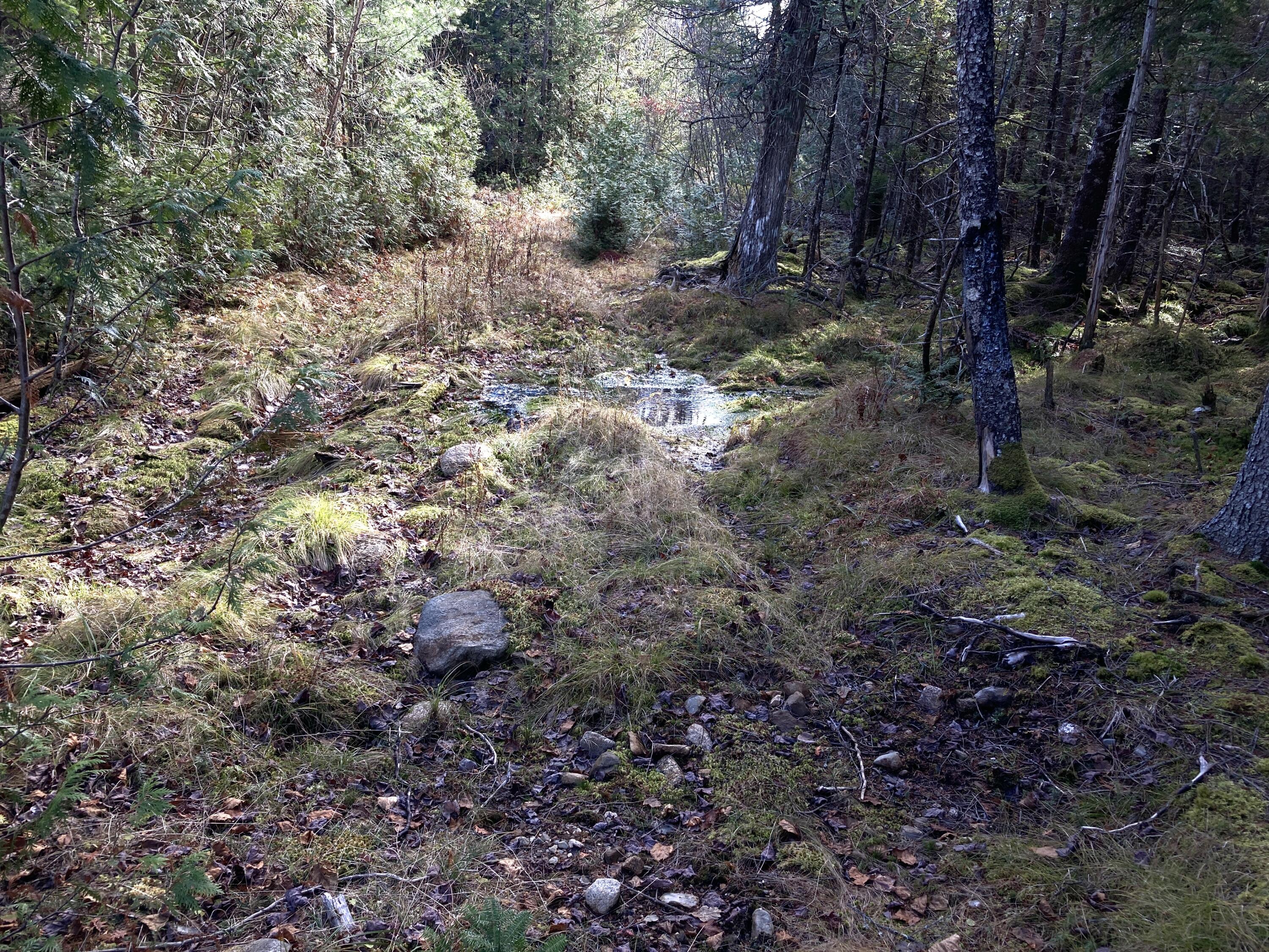 Lot 5-a Pond Road Gouldsboro, ME 04607 - Photo 10 of 19 IMG_1399
