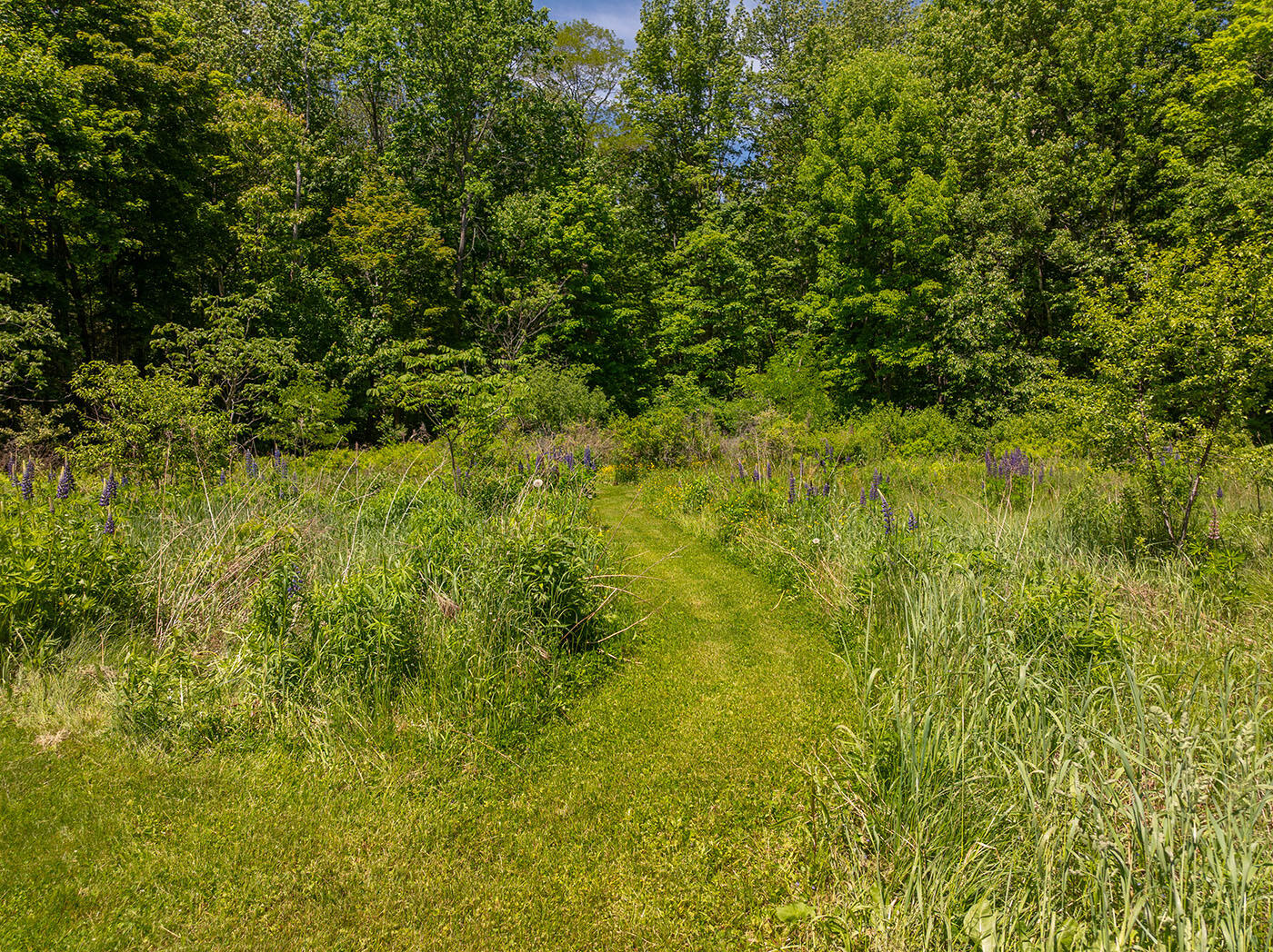 129 Miller Street Belfast, ME 04915 - Photo 37 of 41 DJI_0812
