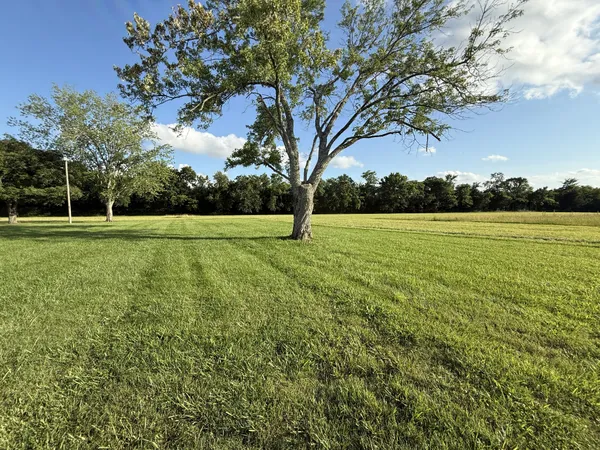a view of outdoor space and yard
