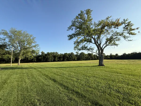 a view of yard with outdoor space