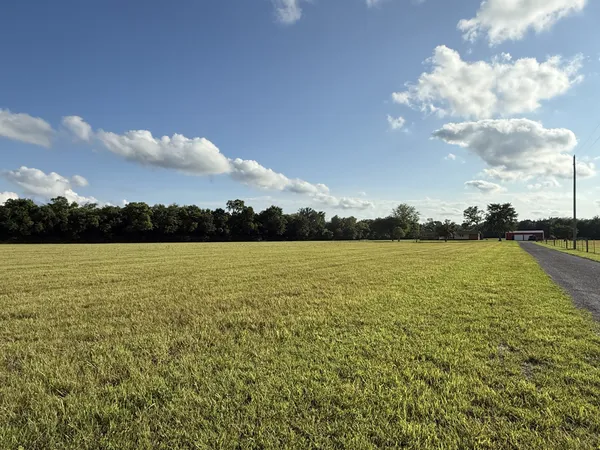 a view of an ocean and beach