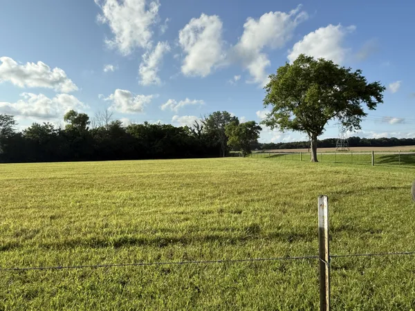 a view of outdoor space with garden