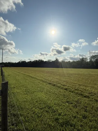 a view of an ocean from a yard