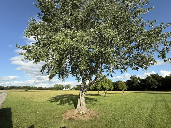 a view of a golf course with a lake