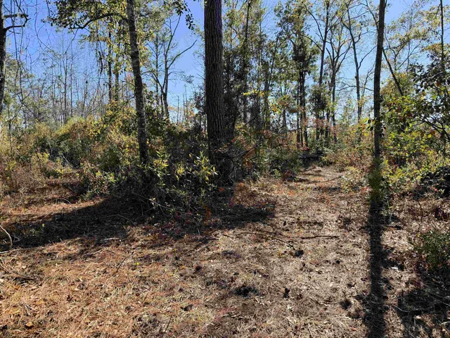 $598,500 | 5000 Northwest Little Cat Road, Madison, FL 32340